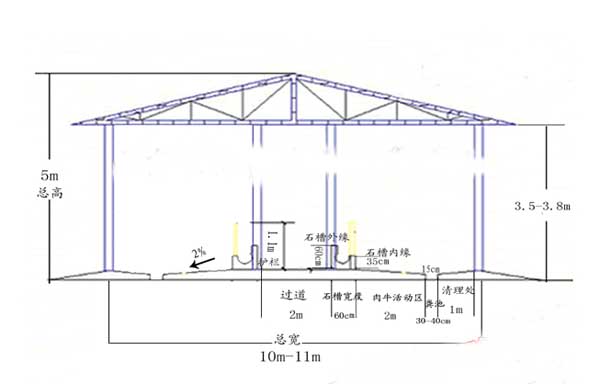 肉牛養殖場建設方案