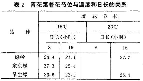 青花菜種植技術