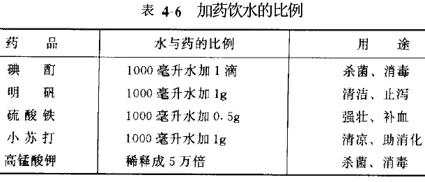 肉鴿管理技術