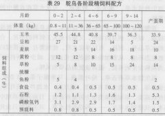 用草料養殖鴕鳥的方法