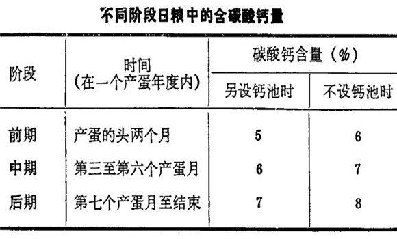 如何增加烏骨雞鈣