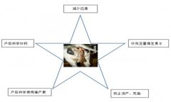 奶牛子宮內膜炎的治療方法