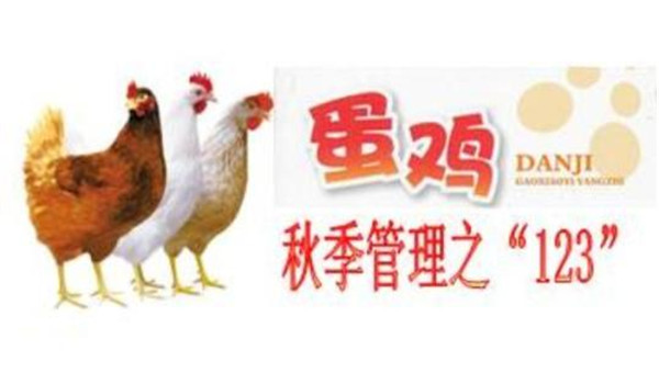 蛋雞秋季飼養管理